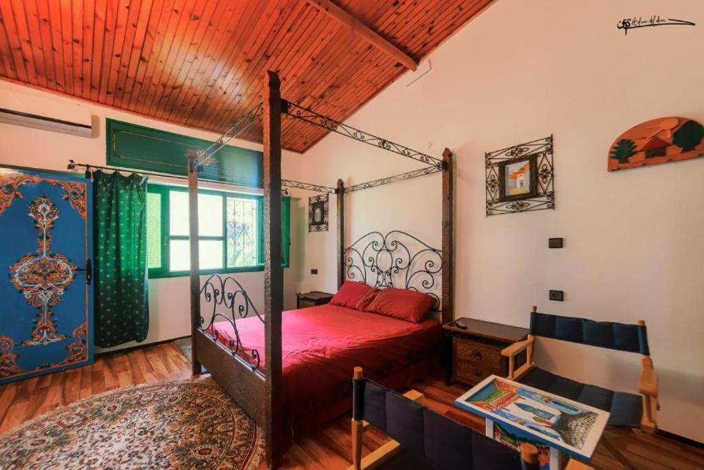 Casa Plasa Grande צ'פצ'אוונה מראה חיצוני תמונה